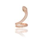 Snake about to run Brilliant Diamond Ring Have You Heard 6 April 2026